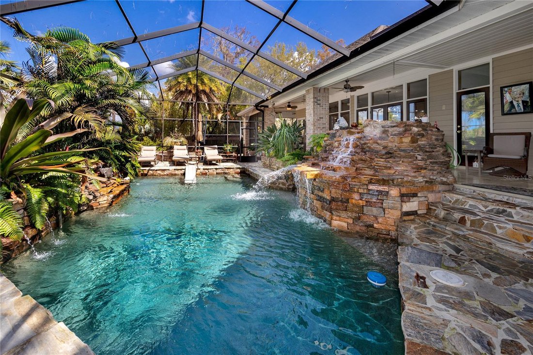 House in Palm Harbor, Florida, United States 4 - 17399829