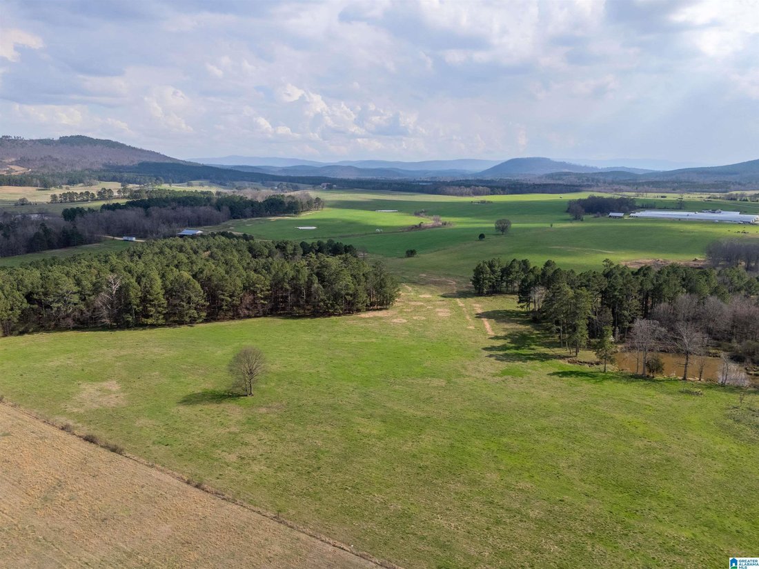 House in Piedmont, Alabama, United States 3 - 17396915