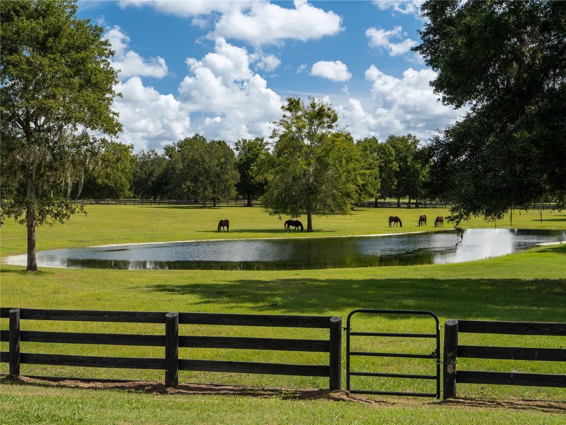 Land in Morriston, Florida, United States 5 - 17396194