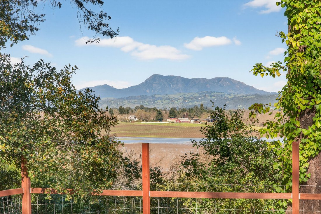 Santa Rosa, California, United States 3 - 17395635