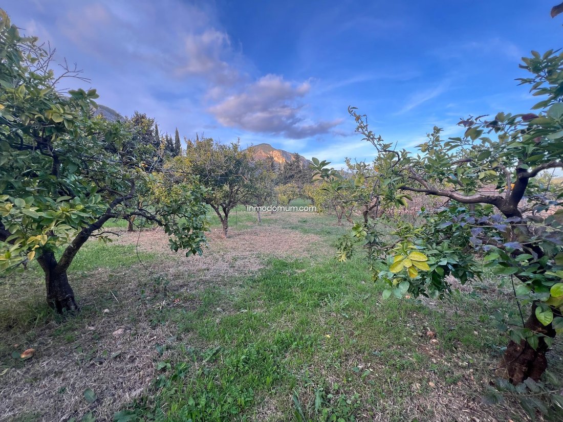 Villa in Alaro, Balearic Islands, Spain 4 - 17399189