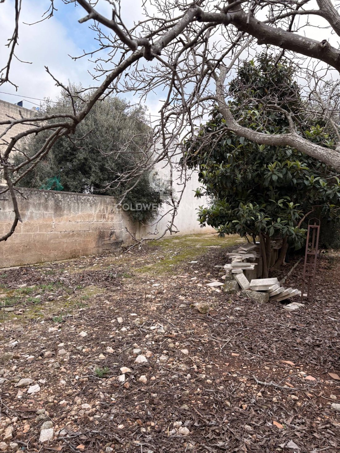 Land in Carovigno, Apulia, Italy 3 - 17402560