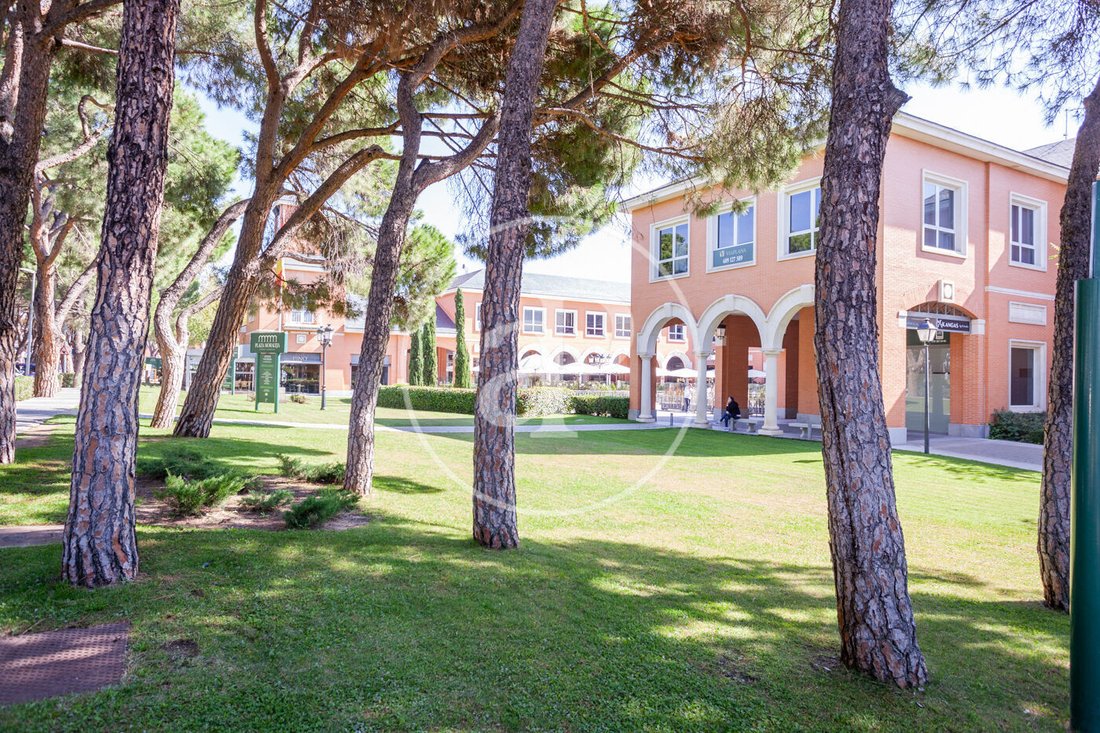 Villa in La Moraleja, Alcobendas, Comunidad de Madrid 5 - 17404265
