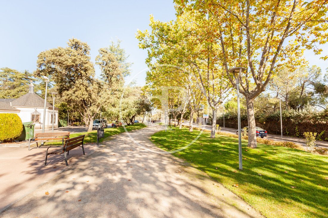 Villa in La Moraleja, Alcobendas, Comunidad de Madrid 2 - 17404265