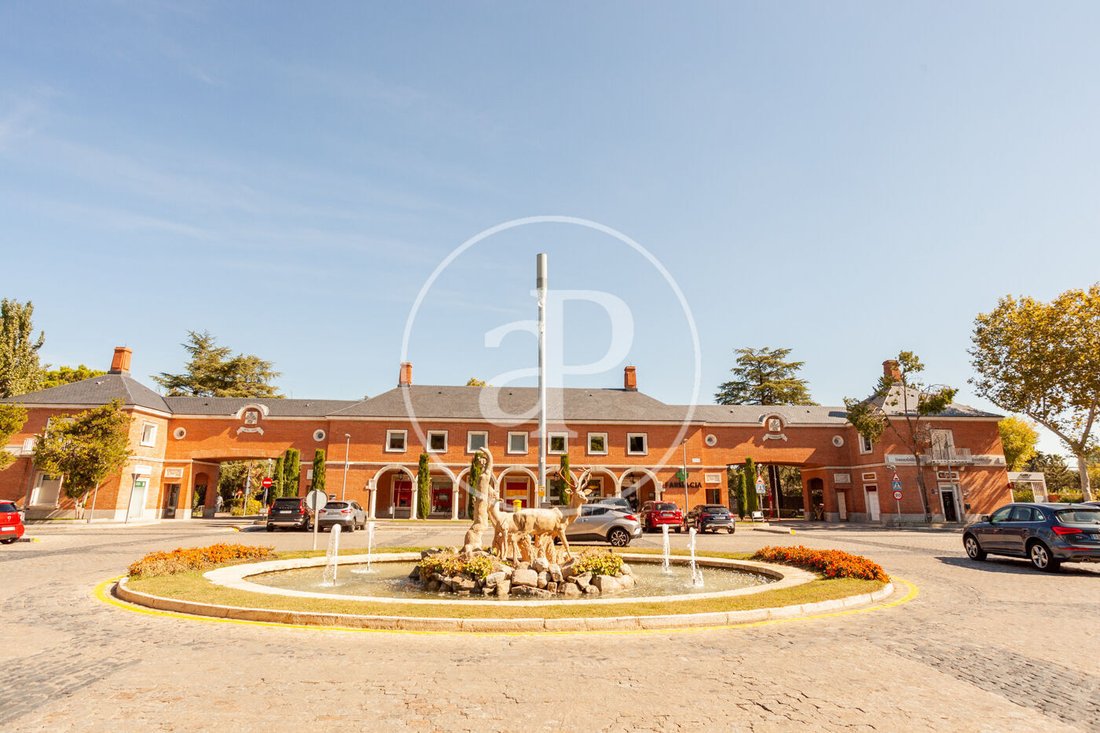 Villa in La Moraleja, Alcobendas, Comunidad de Madrid 4 - 17404265