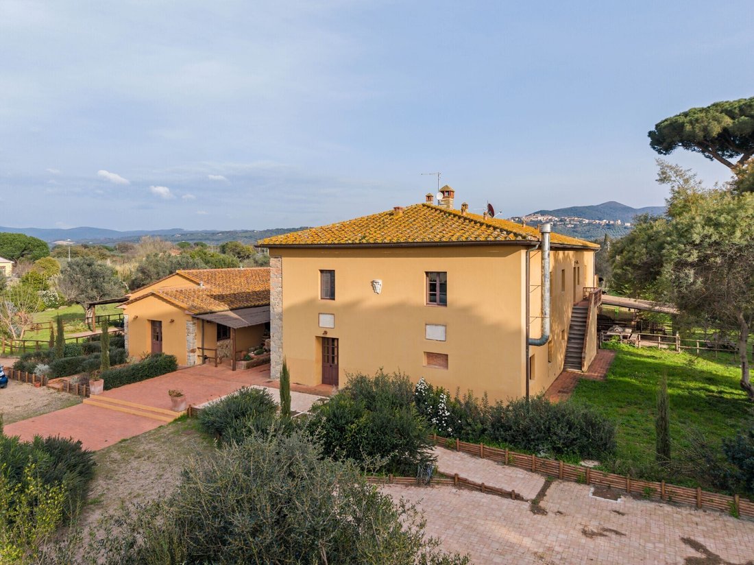 Castagneto Carducci, Tuscany, Italy 3 - 17391978