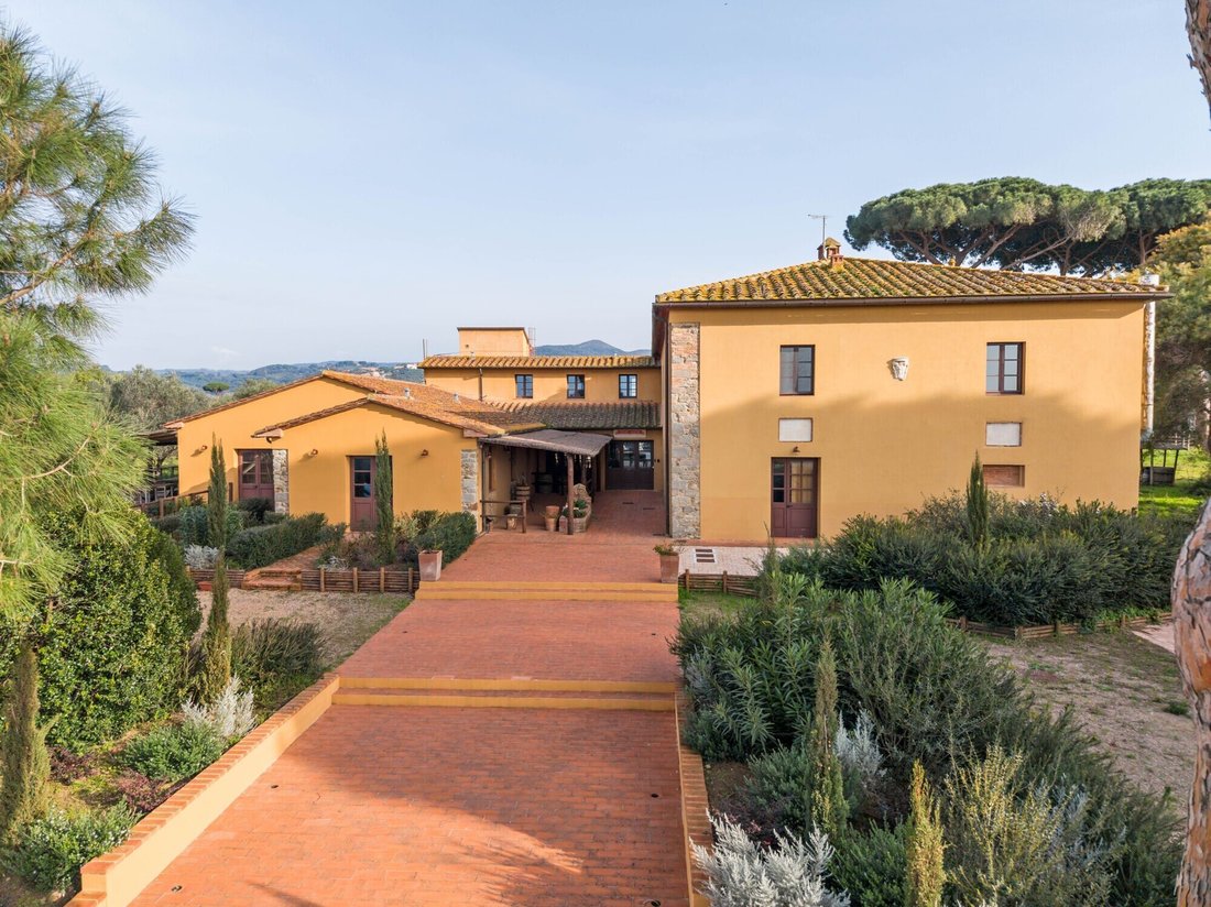 Castagneto Carducci, Tuscany, Italy 1 - 17391978