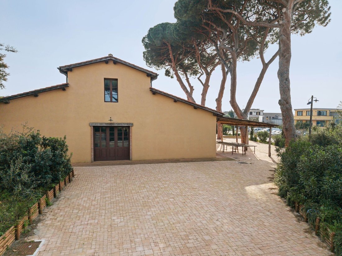 Castagneto Carducci, Tuscany, Italy 4 - 17391978
