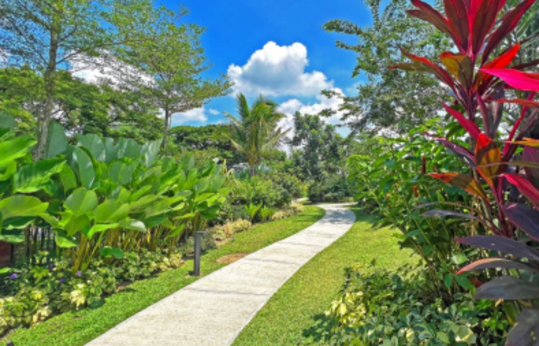 Land in Calamba, Calabarzon, Philippines 4 - 17403760