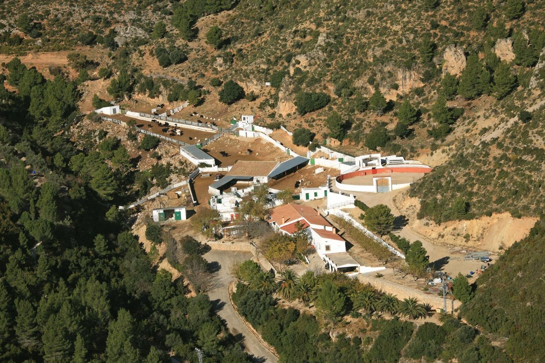 Alfara de Carles, Catalonia, Spain 1 - 17403421