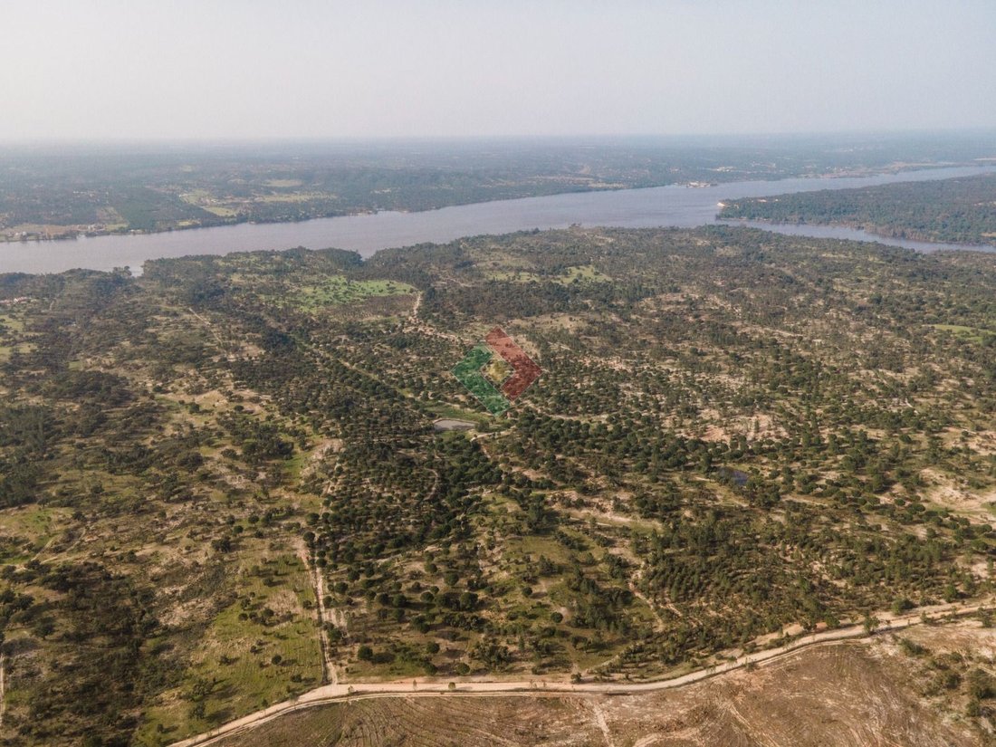 Terreno en Montargil, Distrito de Portalegre, Portugal 2 - 17354245