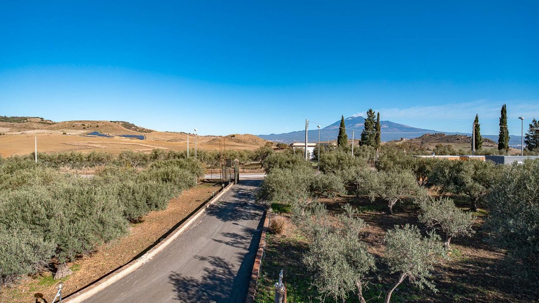 Farm Ranch in Paterno, Sicily, Italy 4 - 17404217