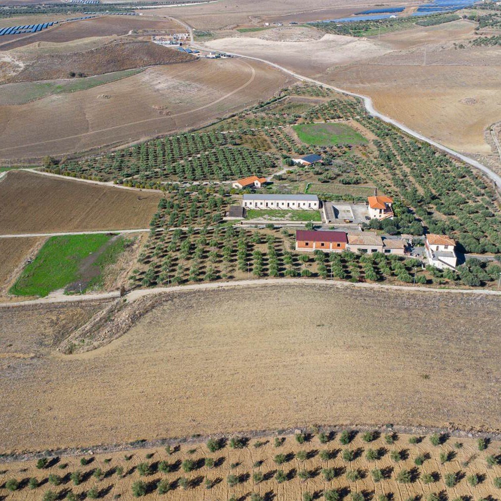 Farm Ranch in Paterno, Sicily, Italy 3 - 17404217