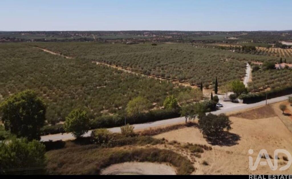 Azienda agricola a Ponte de Sor, Tramaga e Vale de Acor, Distretto di Portalegre, Portogallo 2 - 17387200