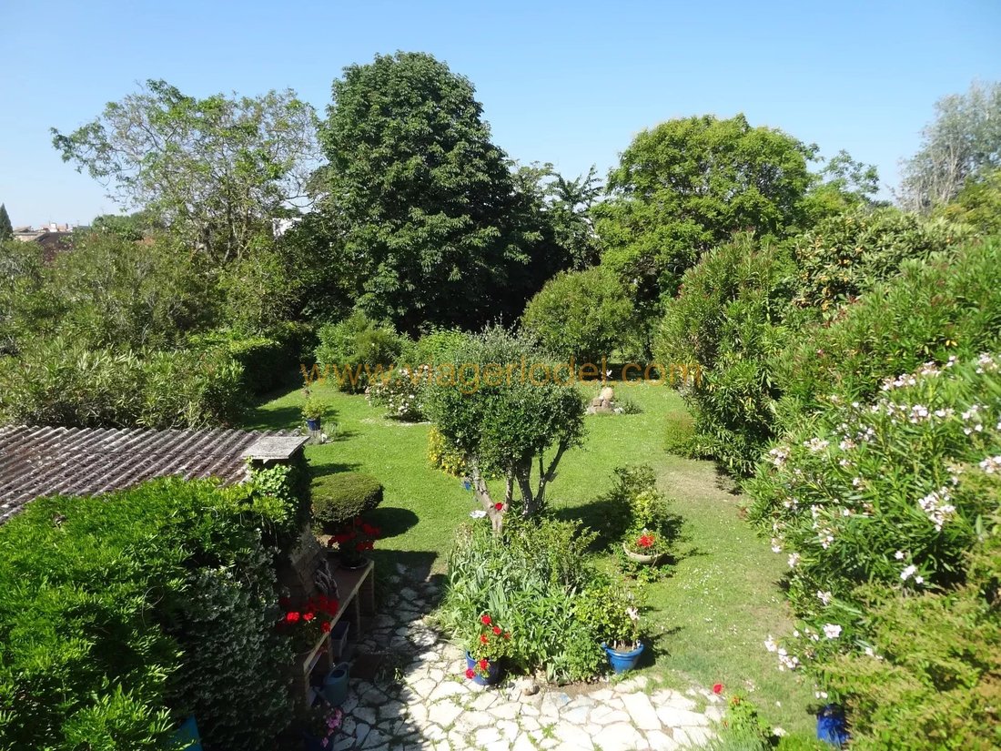 House in Saoulous, Blagnac, France 1 - 17332434