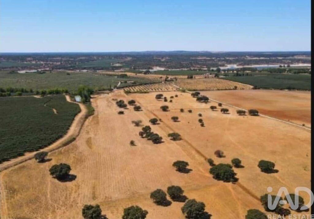 Azienda agricola a Ponte de Sor, Tramaga e Vale de Acor, Distretto di Portalegre, Portogallo 3 - 17387200