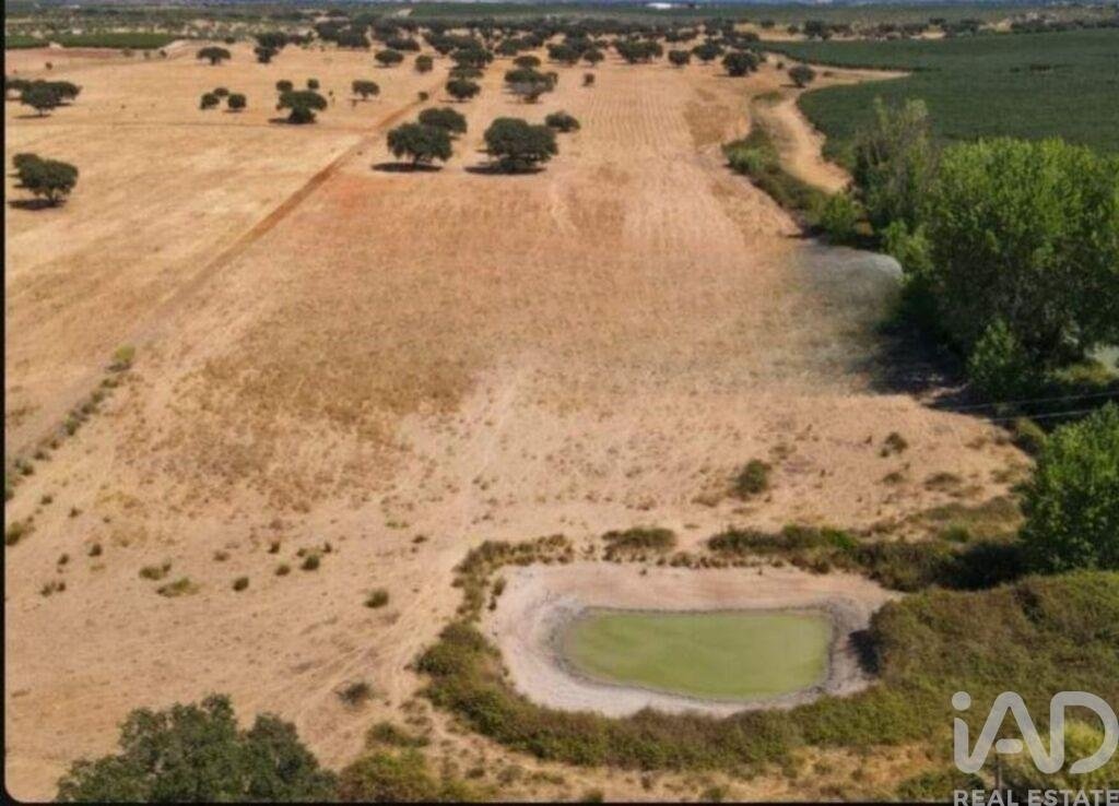 Azienda agricola a Ponte de Sor, Tramaga e Vale de Acor, Distretto di Portalegre, Portogallo 4 - 17387200