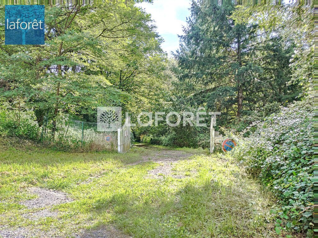 Land in Prats-de-Mollo-la-Preste, Occitania, France 3 - 17405795