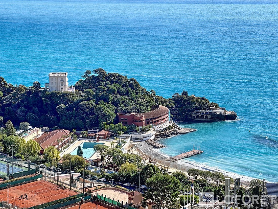 Villa in Village-Cros de Caste-Coupiere-Mont Gros, Roquebrune-Cap-Martin, France 3 - 17406000