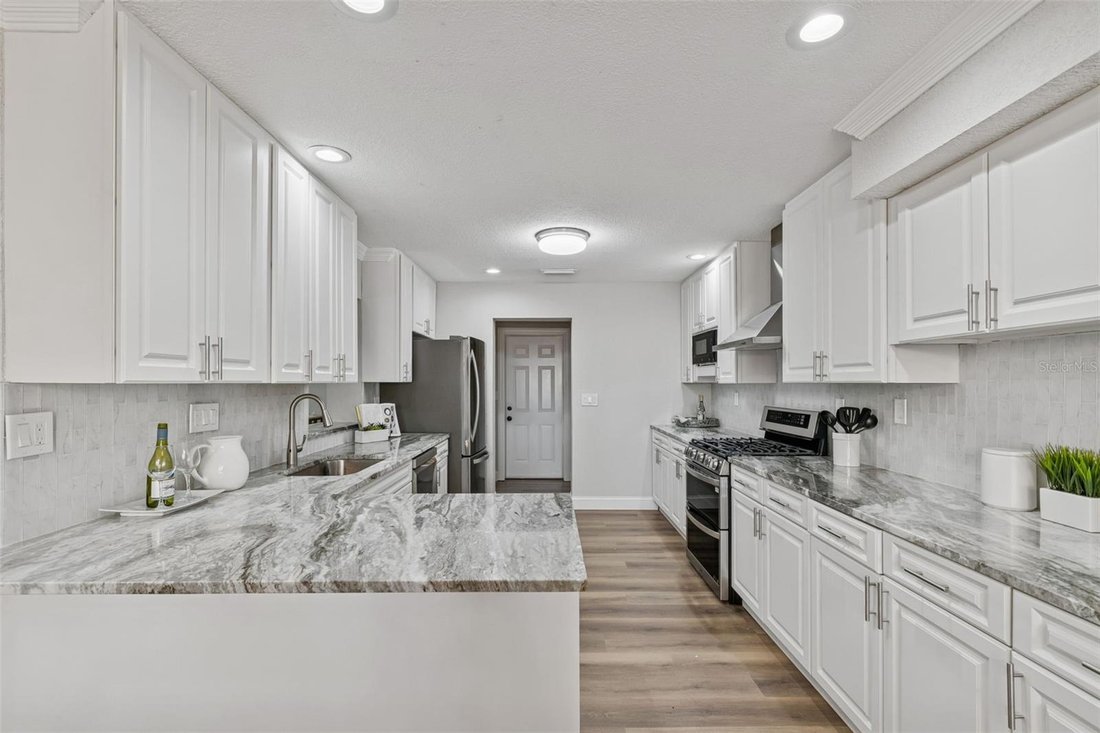 House in Tampa, Florida, United States 5 - 17407007