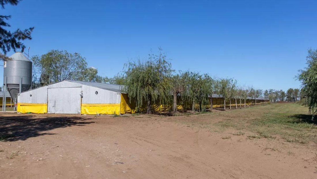 Farm Ranch in Pedernales, Buenos Aires Province, Argentina 5 - 17407464