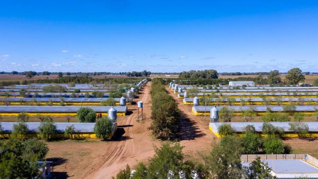 Farm Ranch in Pedernales, Buenos Aires Province, Argentina 1 - 17407464