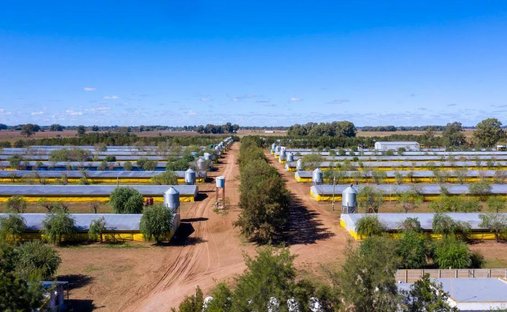 Azienda agricola a Pedernales, Provincia di Buenos Aires, Argentina 1