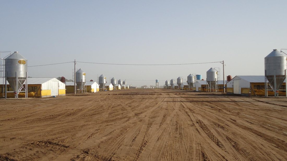 Farm Ranch in Pedernales, Buenos Aires Province, Argentina 4 - 17407464
