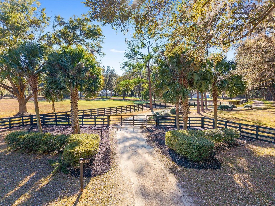 House in Alachua, Florida, United States 2 - 17407042