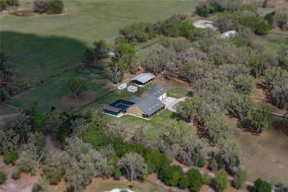 House in Dade City, Florida, United States 4 - 17407059