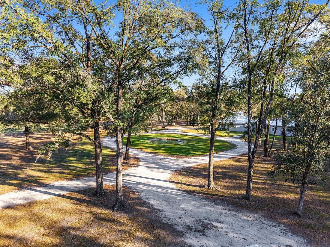 House in Alachua, Florida, United States 4 - 17407042