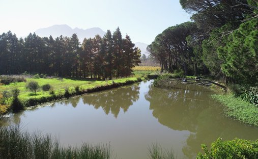 Country House in Cape Town, Western Cape, South Africa 1