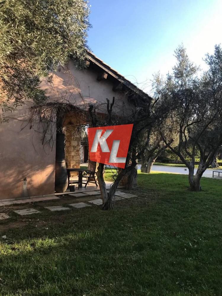 House in Pallini, Attica, Greece 5 - 17408234
