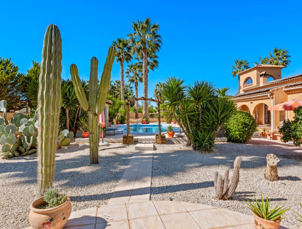 Country House in Almoradi, Valencian Community, Spain 5 - 17408180
