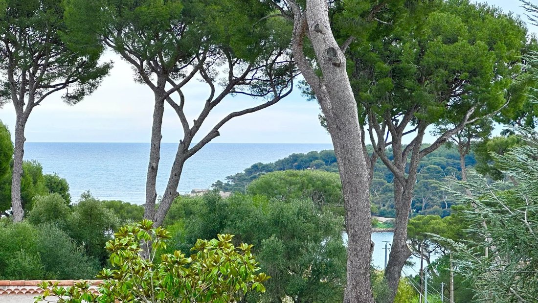 Maison à Antibes, Provence-Alpes-Côte d'Azur, France 2 - 17416287