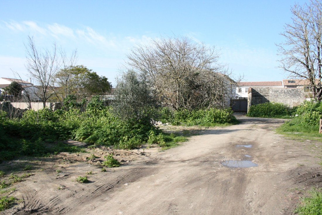 Land in La Flotte, Nouvelle-Aquitaine, France 2 - 16490808