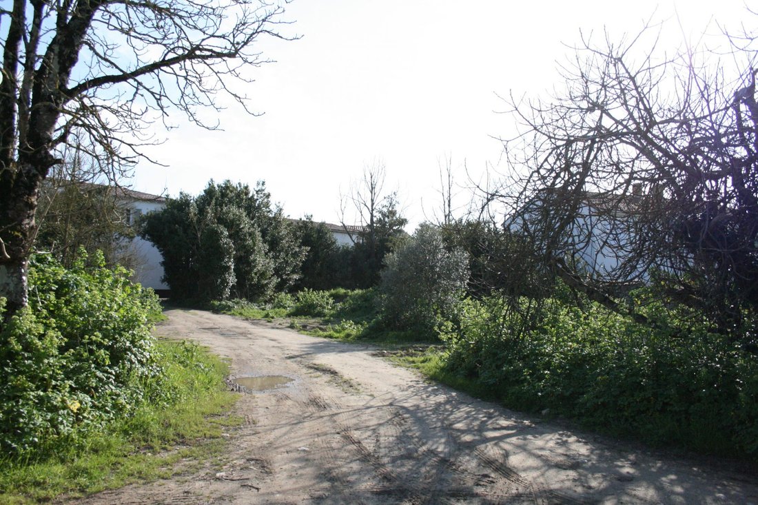 Land in La Flotte, Nouvelle-Aquitaine, France 4 - 16490808