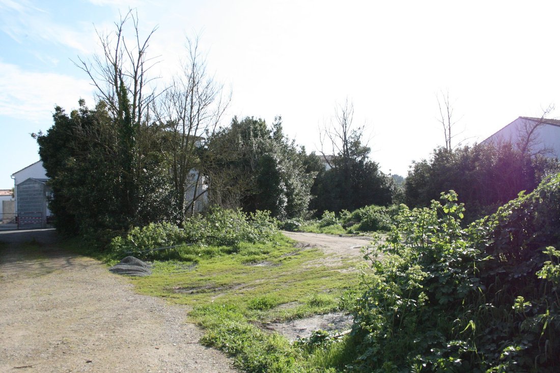 Land in La Flotte, Nouvelle-Aquitaine, France 3 - 16490808