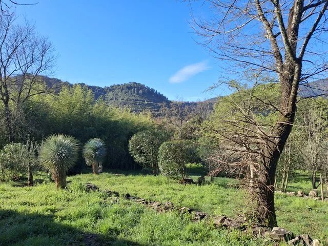 House in Les Vans, Auvergne-Rhône-Alpes, France 2 - 17416322