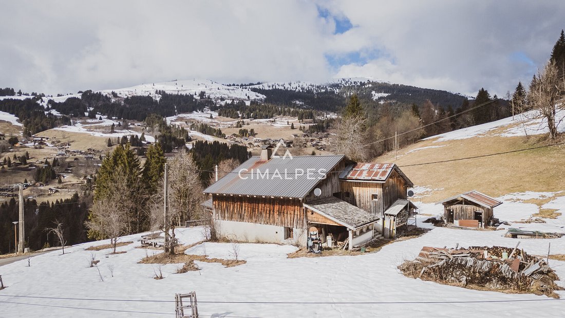 Villa in Les Gets, Auvergne-Rhône-Alpes, France 1 - 17410608
