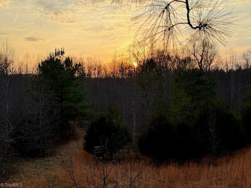 Liberty, North Carolina, United States 3 - 17413540