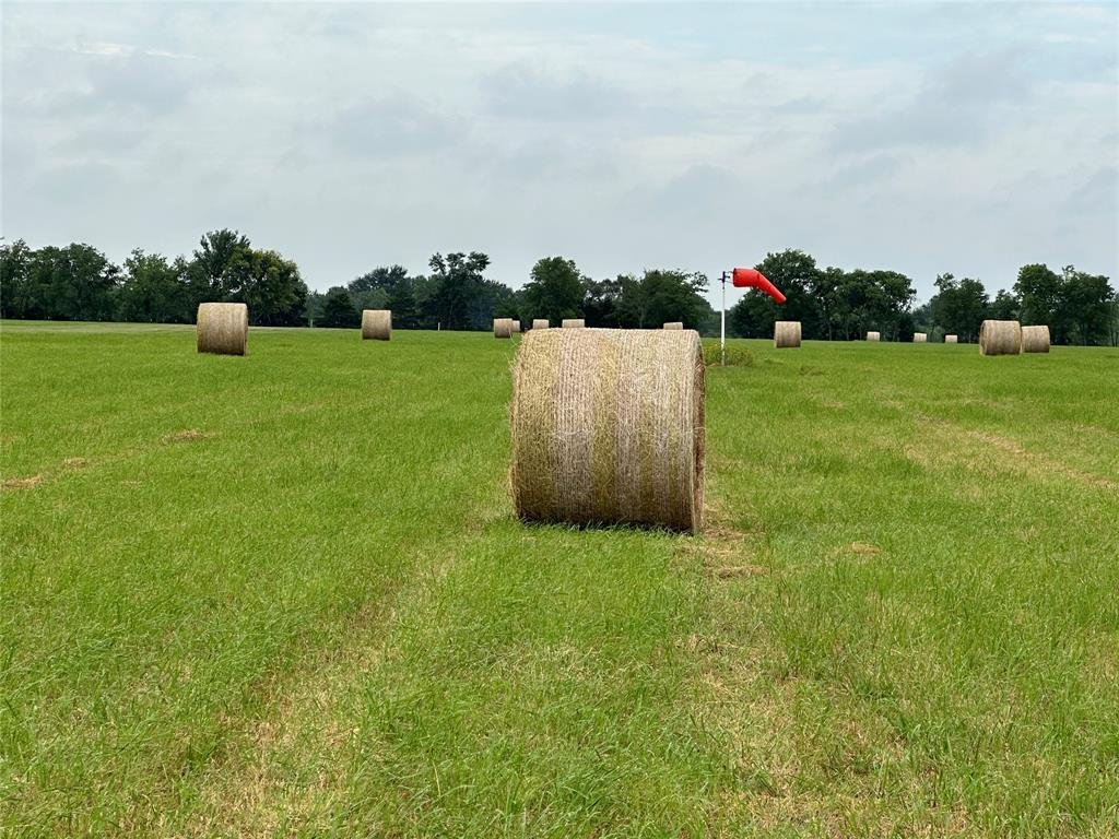 Farm Ranch in Greenville, Texas, United States 5 - 17411860