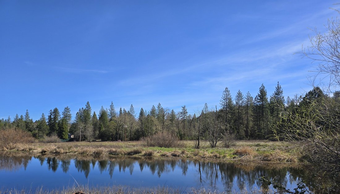 House in Cave Junction, Oregon, United States 2 - 17409836