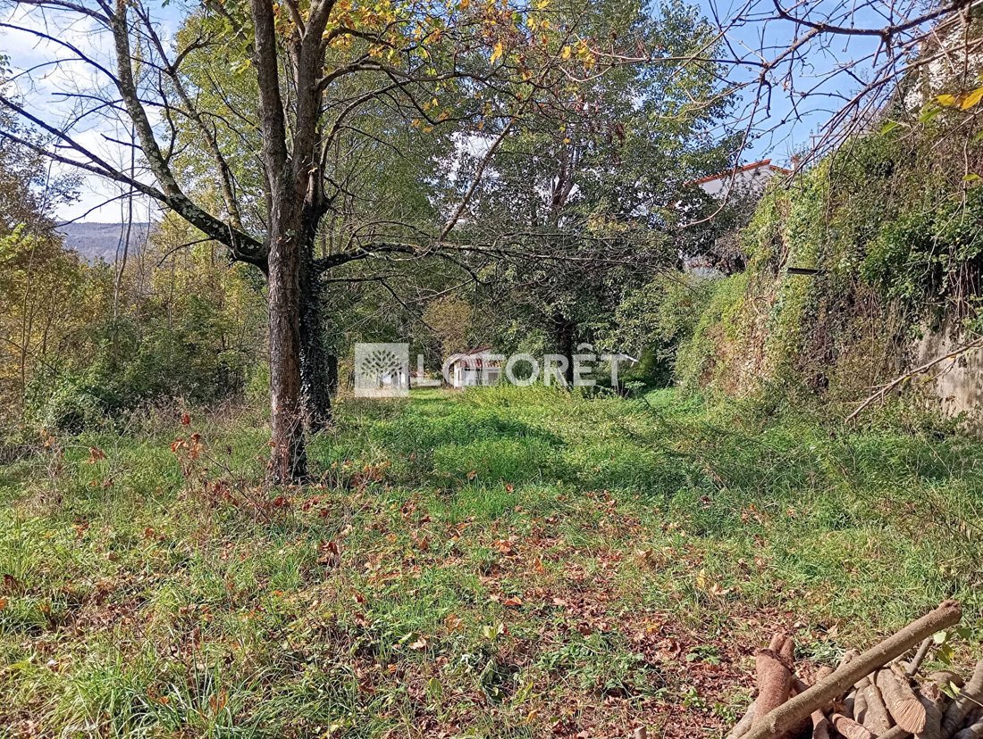 Land in Prats-de-Mollo-la-Preste, Occitania, France 4 - 17410504