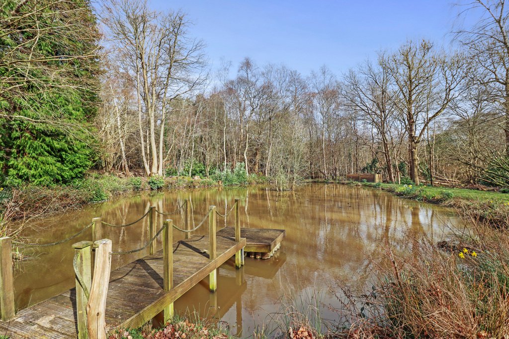 House in Rushlake Green, England 2 - 17408638