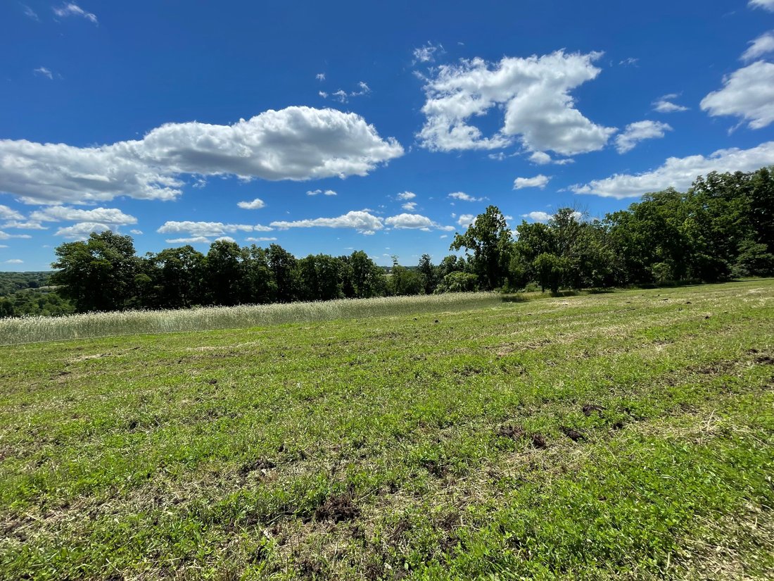 Land in Doylestown, Pennsylvania, United States 4 - 17415584