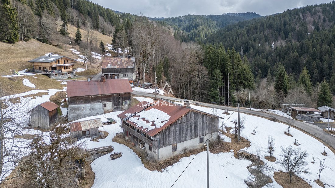 Villa in Les Gets, Auvergne-Rhône-Alpes, France 4 - 17410608