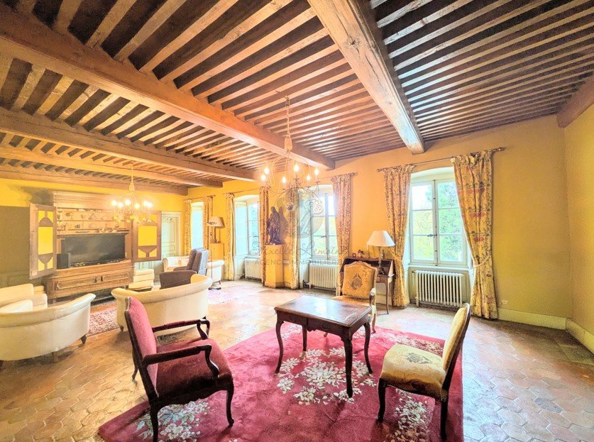 Castle in Busseol, Auvergne-Rhône-Alpes, France 5 - 16663718