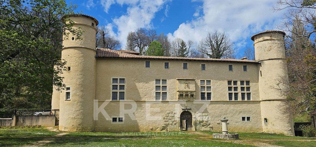 Castle in Dieulefit, Auvergne-Rhône-Alpes, France 5 - 17421732