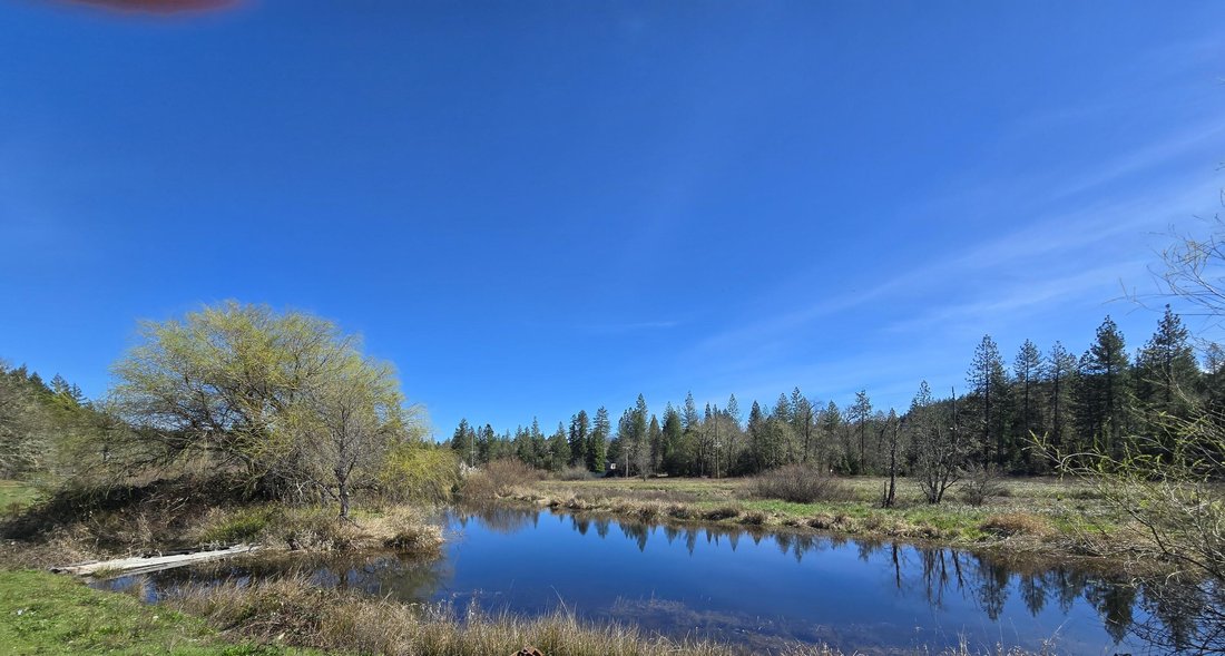 House in Cave Junction, Oregon, United States 5 - 17409836